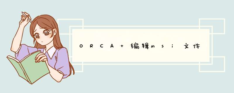 ORCA 编辑msi文件,第1张