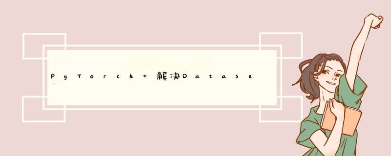 PyTorch 解决Dataset和Dataloader遇到的问题,第1张