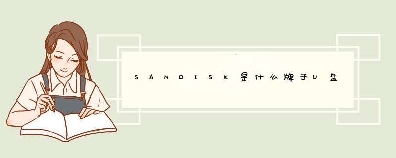 SANDISK是什么牌子U盘,第1张