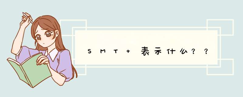 SMT 表示什么？？,第1张