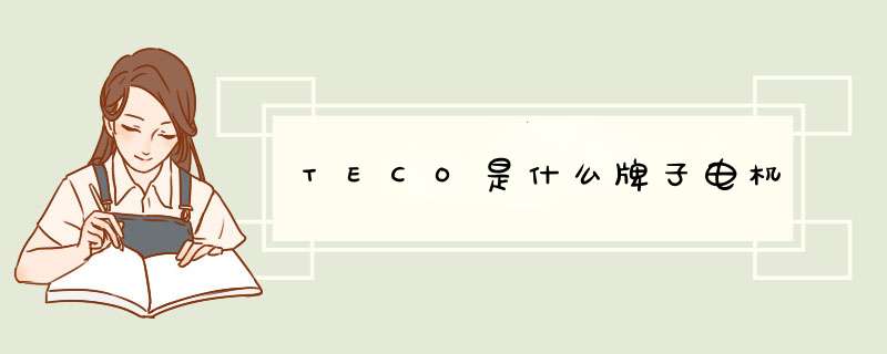 TECO是什么牌子电机,第1张