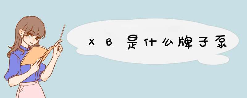 XB是什么牌子泵,第1张