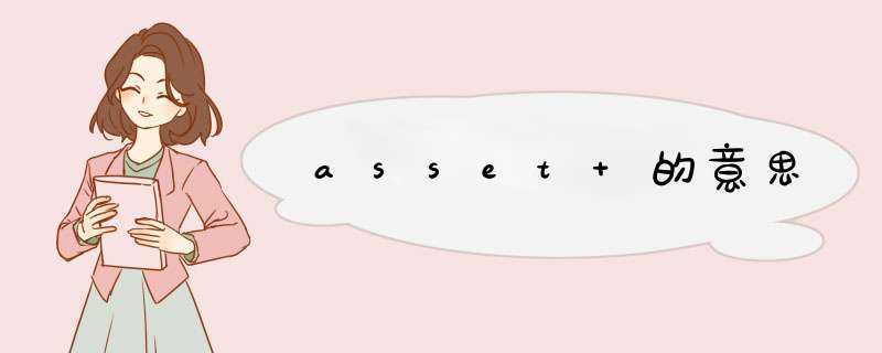 asset 的意思,第1张