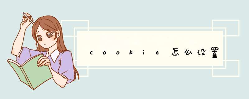 cookie怎么设置,第1张