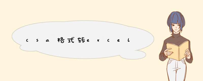 csa格式转excel,第1张