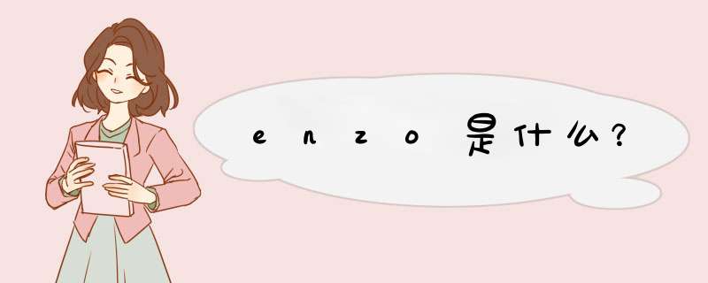 enzo是什么？,第1张