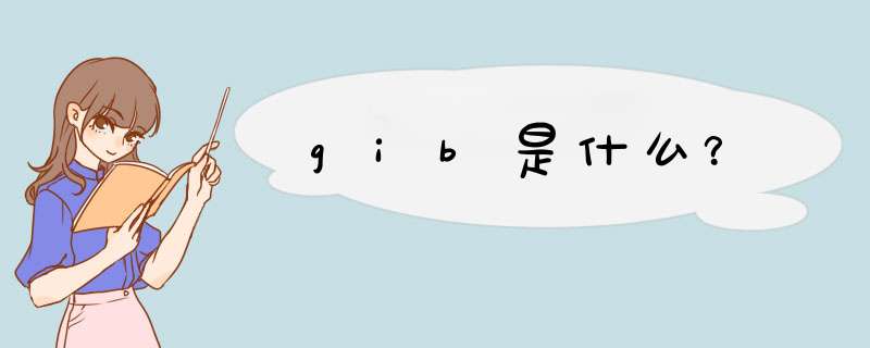 gib是什么？,第1张