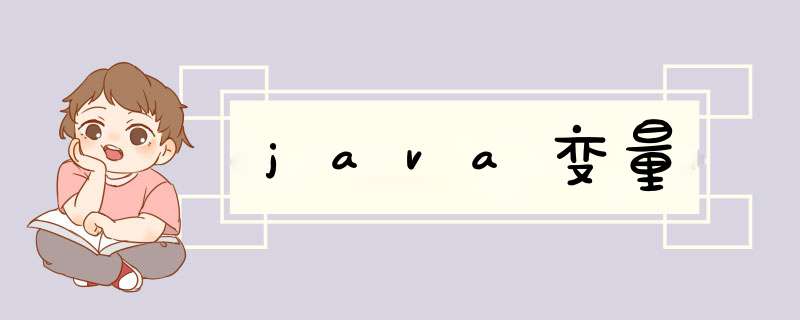 java变量,第1张