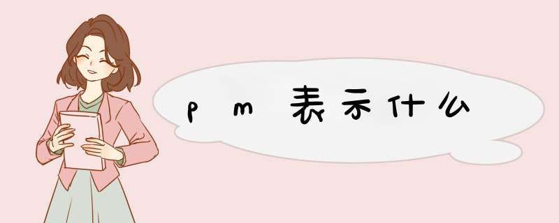 pm表示什么,第1张