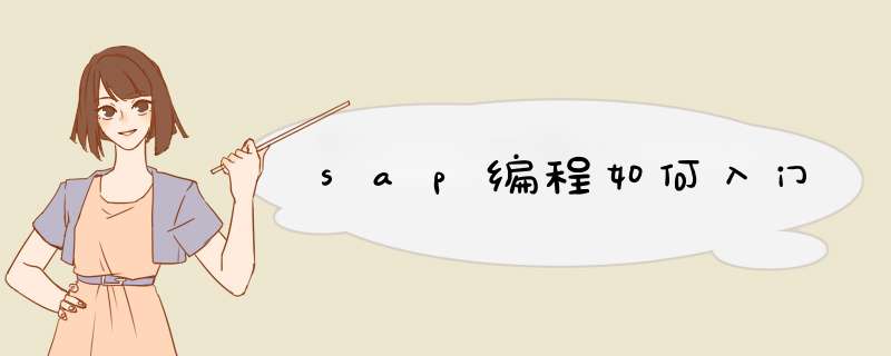 sap编程如何入门,第1张