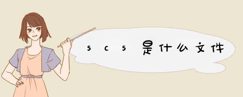 scs是什么文件,第1张