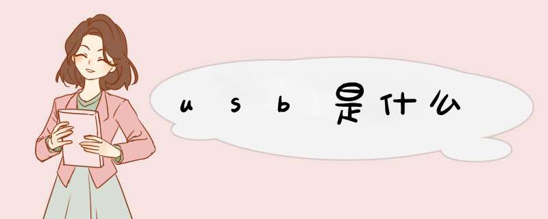 usb是什么,第1张