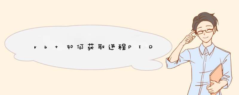 vb 如何获取进程PID,第1张