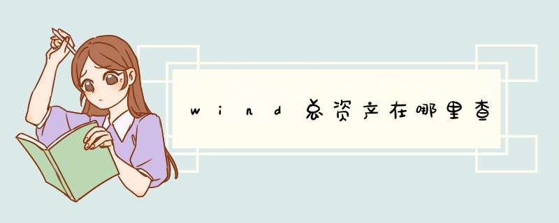 wind总资产在哪里查,第1张