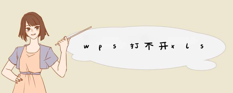 wps打不开xls,第1张