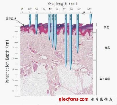 你会让LED来关注你的皮肤健康吗？,第2张