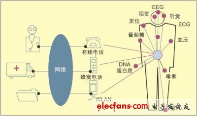 SiC集成技术在生物电信号采集设计,第2张