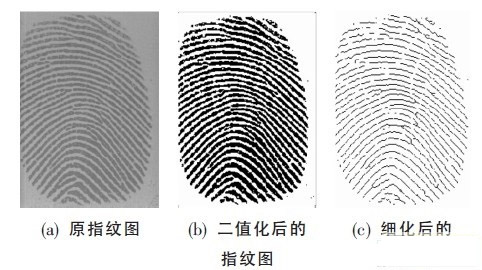 指纹识别也不安全：黑客可从手指照片复制指纹,细化指纹,第5张
