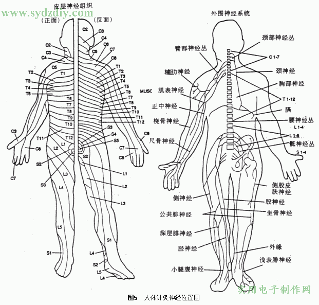 无针电子针灸器的制作,第5张