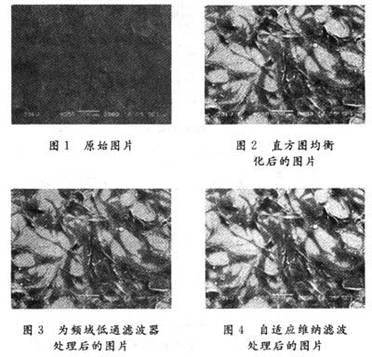 基于Matlab的图像增强与复原技术在SEM图像中的应用,第8张