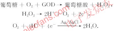 便携式智能自我血糖监测仪器设计方案,第2张