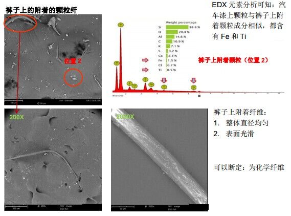 服装材料纤维，造纸 SEM-EDX 在交通事故中的应用,裤子上的附着的颗粒纤（扫描电镜SEM）,第3张