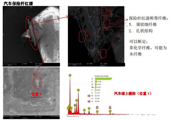 服装材料纤维，造纸 SEM-EDX 在交通事故中的应用,汽车保险杆红漆（扫描电镜SEM）,第2张