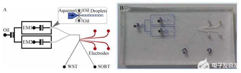 基于液滴微流体的微流控芯片系统的研究,基于液滴微流体的微流控芯片系统的研究,第3张