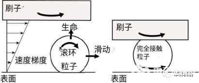 半导体工艺之PVA刷擦洗 聚VA刷摩擦分析,pYYBAGJBYGKAHLdAAAAo01AzsiA320.jpg,第2张