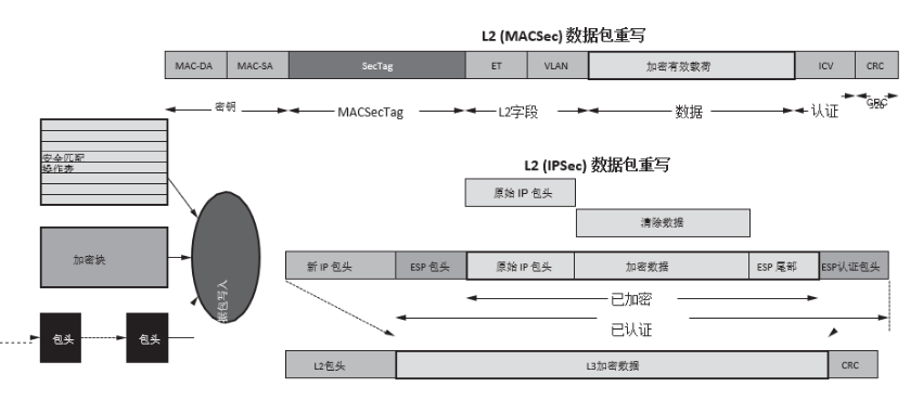 可编程能力在新一代安全设备中的重要性,poYBAGHBkOGAZhwRAADDEad5z-A198.png,第8张