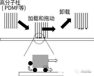 半导体工艺之PVA刷擦洗 聚VA刷摩擦分析,poYBAGJBYGKAKSi2AAAshoAtxUQ103.jpg,第3张