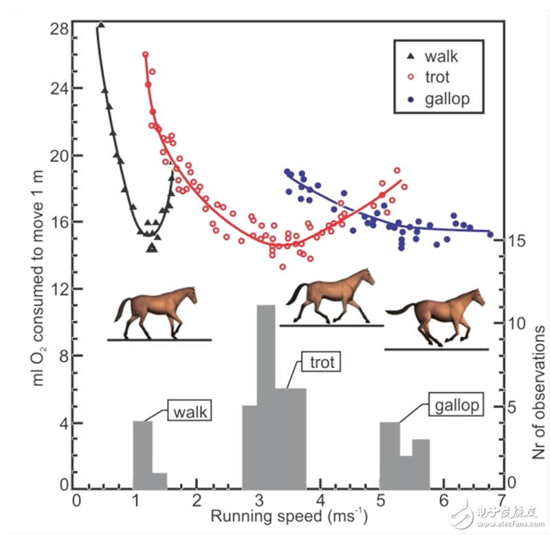 机器人最节省能量的行走方式,第2张