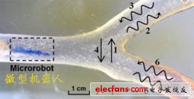 科学家开发微型机器人进入人体血管清除淤积,科学家开发微型机器人进入人体血管清除淤积,第2张