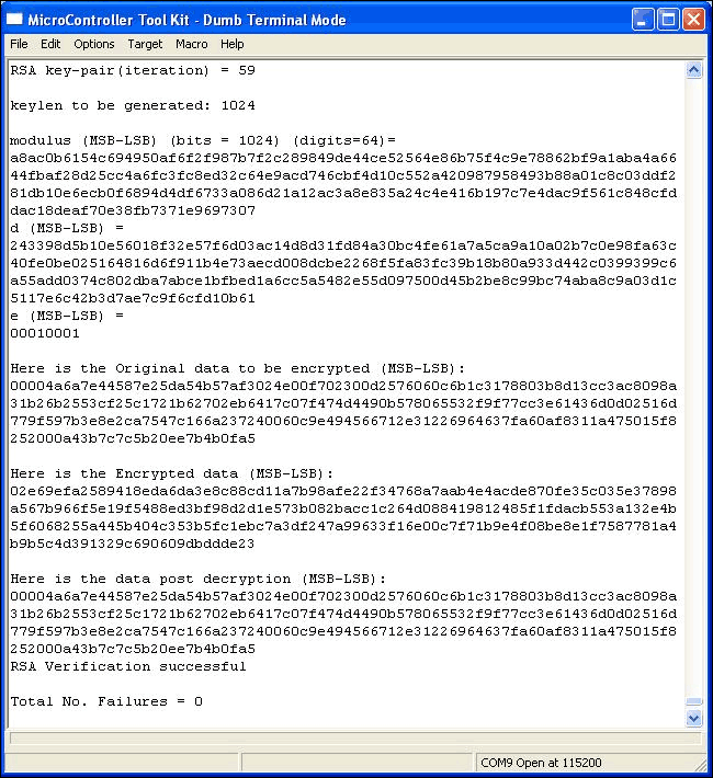 RSA Key Generation Using the M,Figure 2. Execution status and results of sample application.,第2张