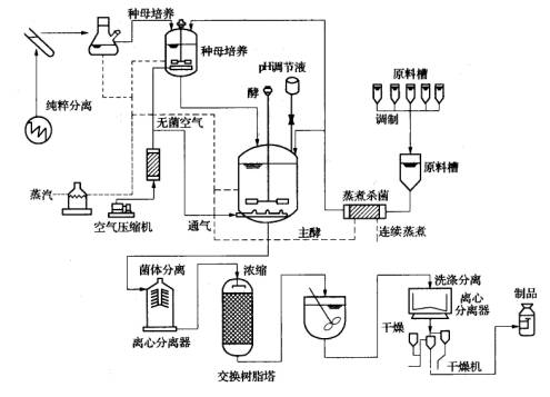 生物发酵的工艺过程流程图,第2张