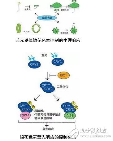 六中LED技术与应用，哪种让你眼前一亮？,第2张