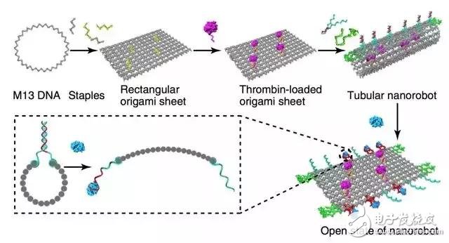 中美联合狙击癌细胞DNA纳米机器人立功,第3张