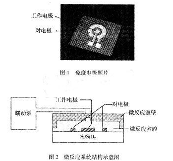 基于MEMS工艺的电极型免疫微传感器检测系统设计,基于MEMS工艺的电极型免疫微传感器检测系统设计,第2张