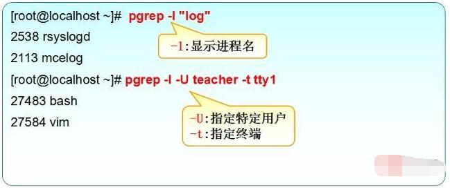 linux的进程怎么查看,linux的进程怎么查看,第3张