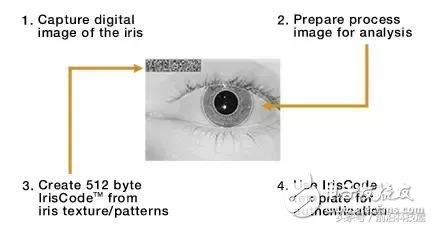 人类的智慧，生物识别技术正在改变我们的生活,人类的智慧，生物识别技术正在改变我们的生活,第3张