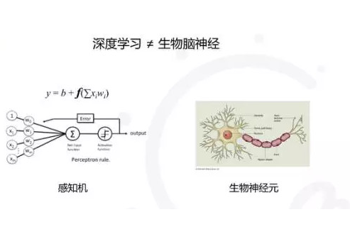 以太网接口的设计嵌入式系统是关键,第2张