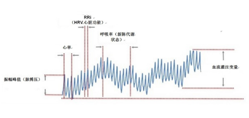 你知道生物计量可穿戴设备的光学心率传感器？,第2张