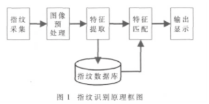 基于DSP芯片TMS320VC5501实现指纹识别系统的设计,基于DSP芯片TMS320VC5501实现指纹识别系统的设计,第2张