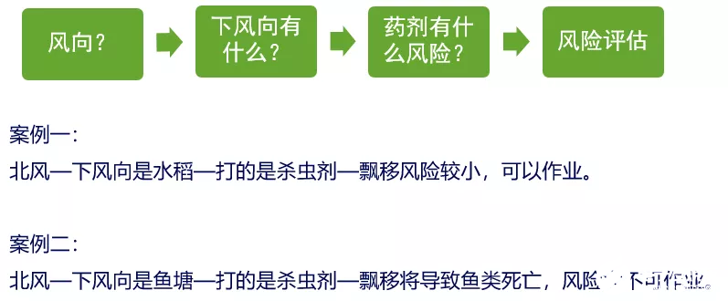 如何利用无人机提升水稻的除草效果,第4张