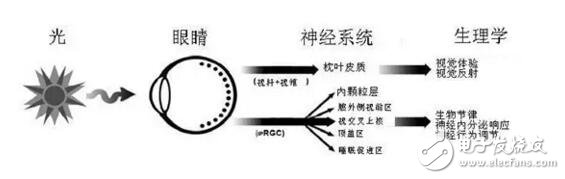 一种真正以人为本的景观照明设计方案,第13张