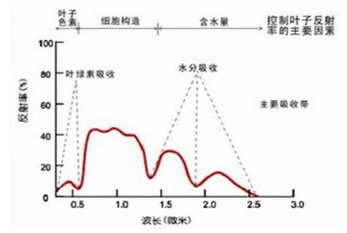 多旋翼无人机飞可以根据需要搭载各种传感器,多旋翼无人机飞可以根据需要搭载各种传感器,第2张