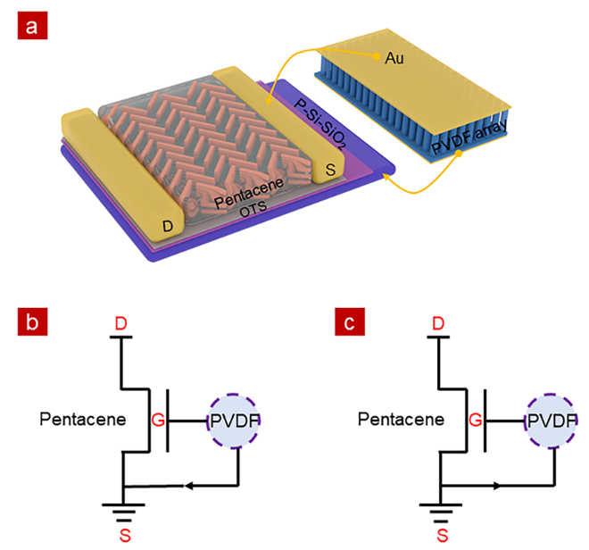 基于并五苯有机场效应晶体管和PVDF纳米棒阵列的压电式触觉传感器,基于并五苯有机场效应晶体管和PVDF纳米棒阵列的压电式触觉传感器,第5张