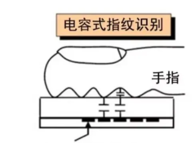 解析市场上的指纹识别技术,解析市场上的指纹识别技术,第2张