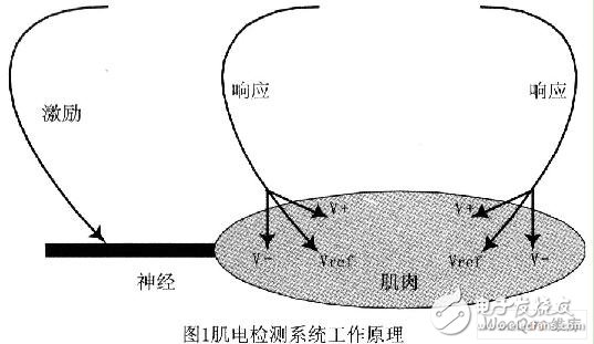 生物神经电极放大器系统(肌电检测系统)的设计及测试,生物神经电极放大器系统(肌电检测系统)的设计及测试,第2张