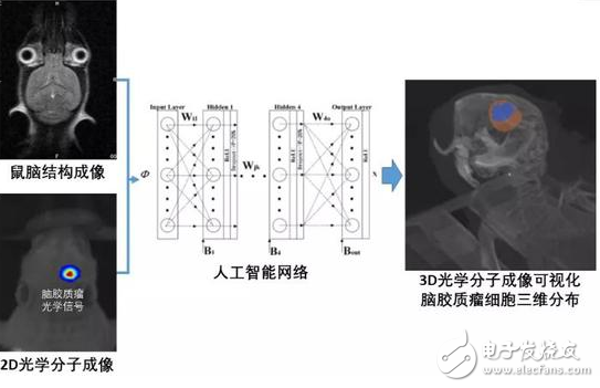 光学分子影像的出现 让医生能更容易捕捉到肿瘤“恶魔”,光学分子影像的出现 让医生能更容易捕捉到肿瘤“恶魔”,第2张